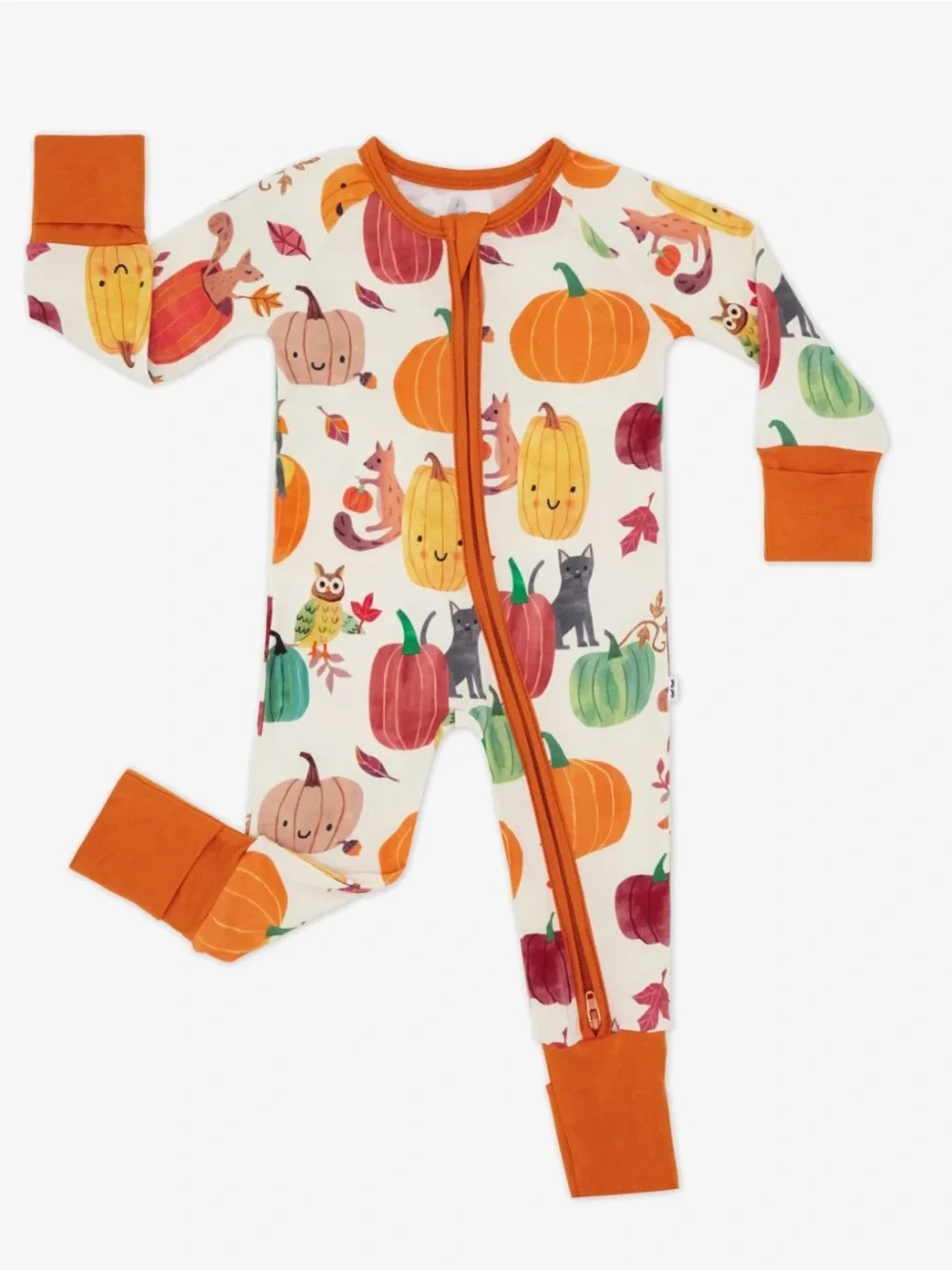 12/18 Months Little Sleepies Pumpkin Pals Zippy